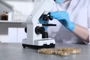 Allergeenbeheerprogram – Vervaardigingsnakoming