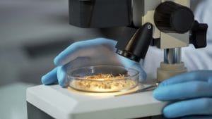 Allergen Control Systems – Digital vs Manual