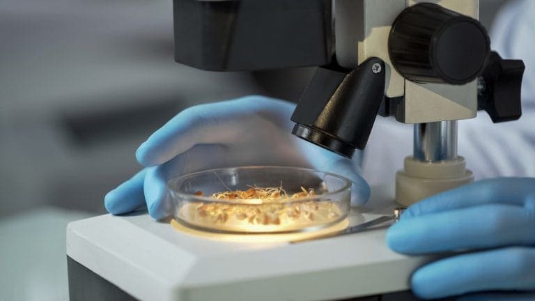 Allergen Control Systems – Digital vs Manual